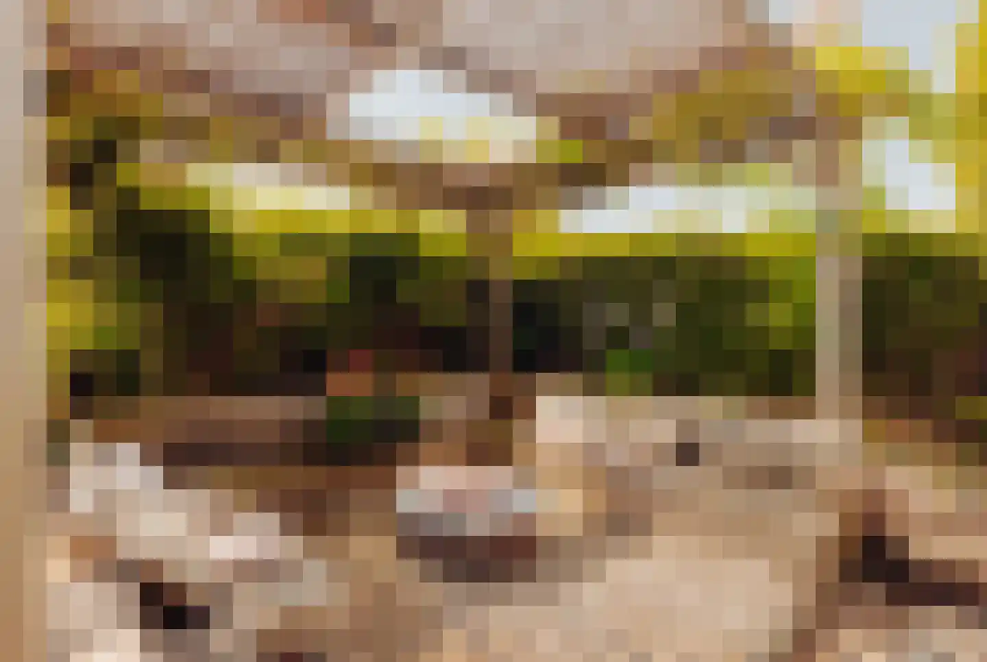 Westmeerlaan 15 Roelofarendsveen thumbnail 34