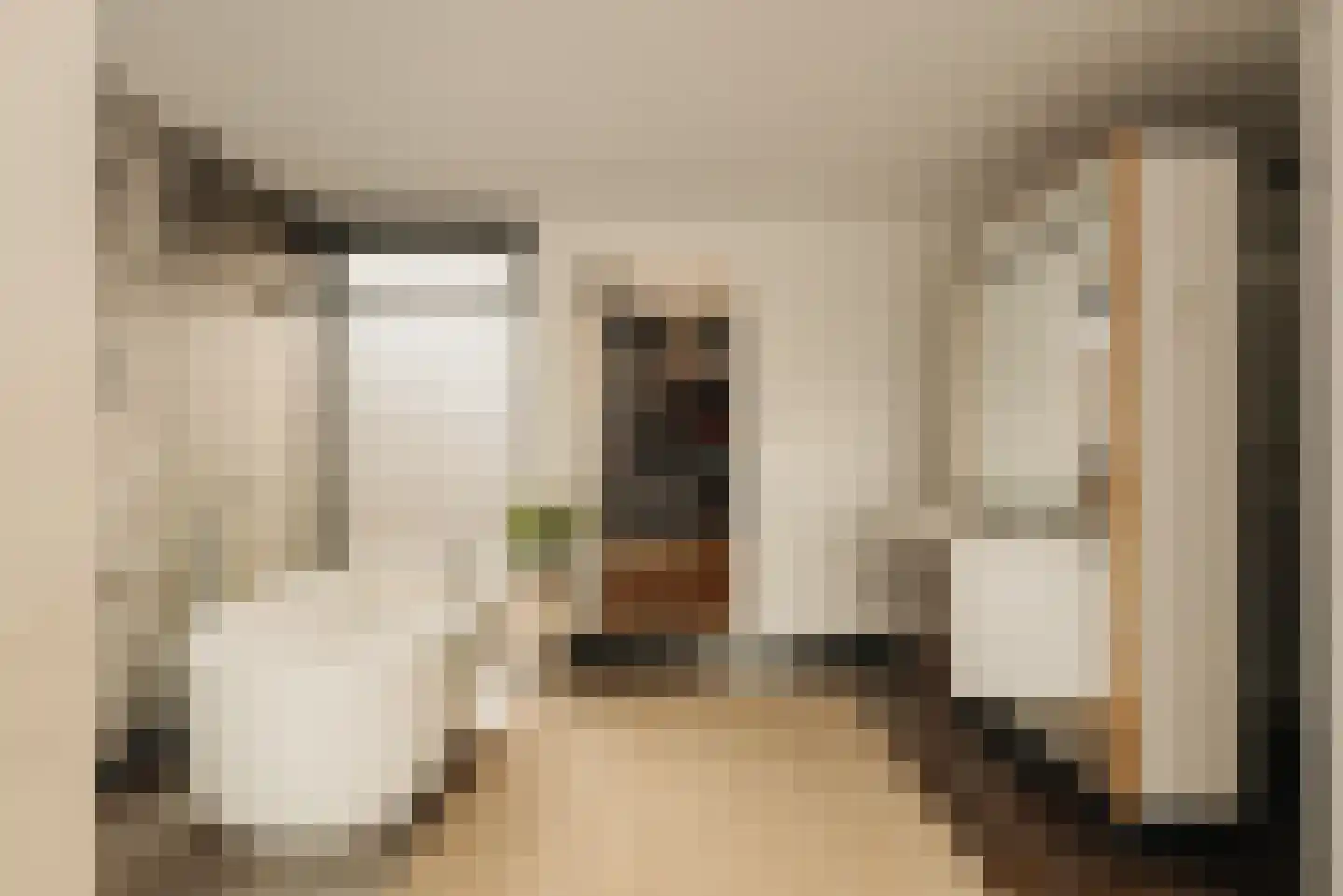 Westmeerlaan 15 Roelofarendsveen thumbnail 39