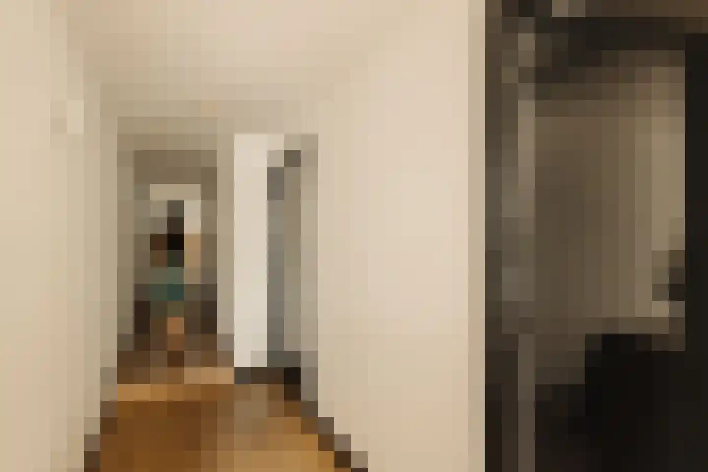 Westmeerlaan 15 Roelofarendsveen thumbnail 43