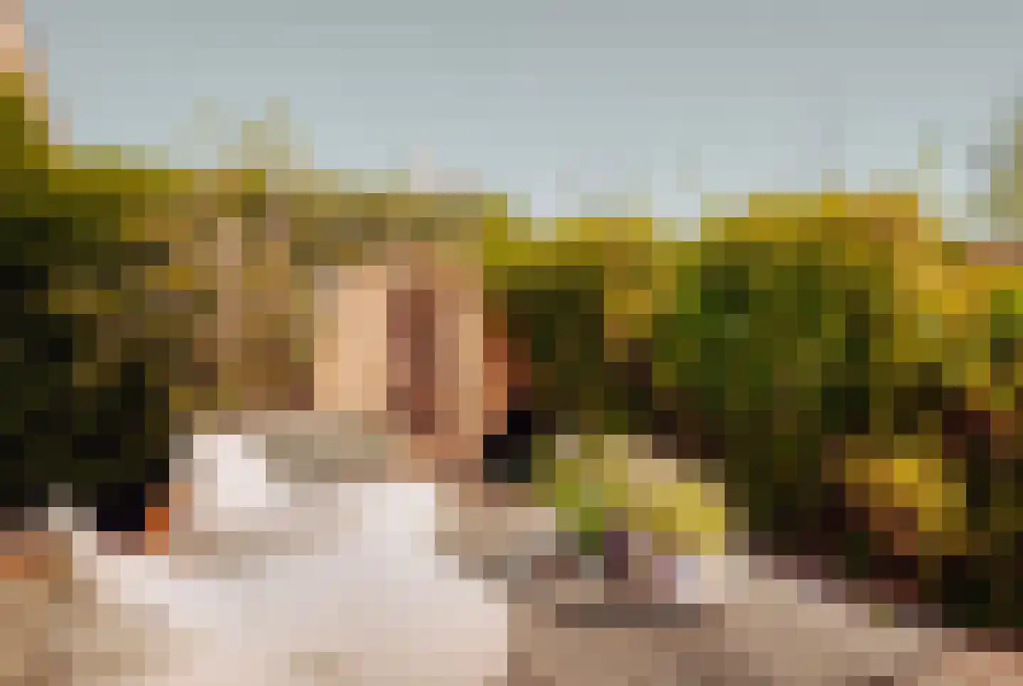 Westmeerlaan 15 Roelofarendsveen thumbnail 45