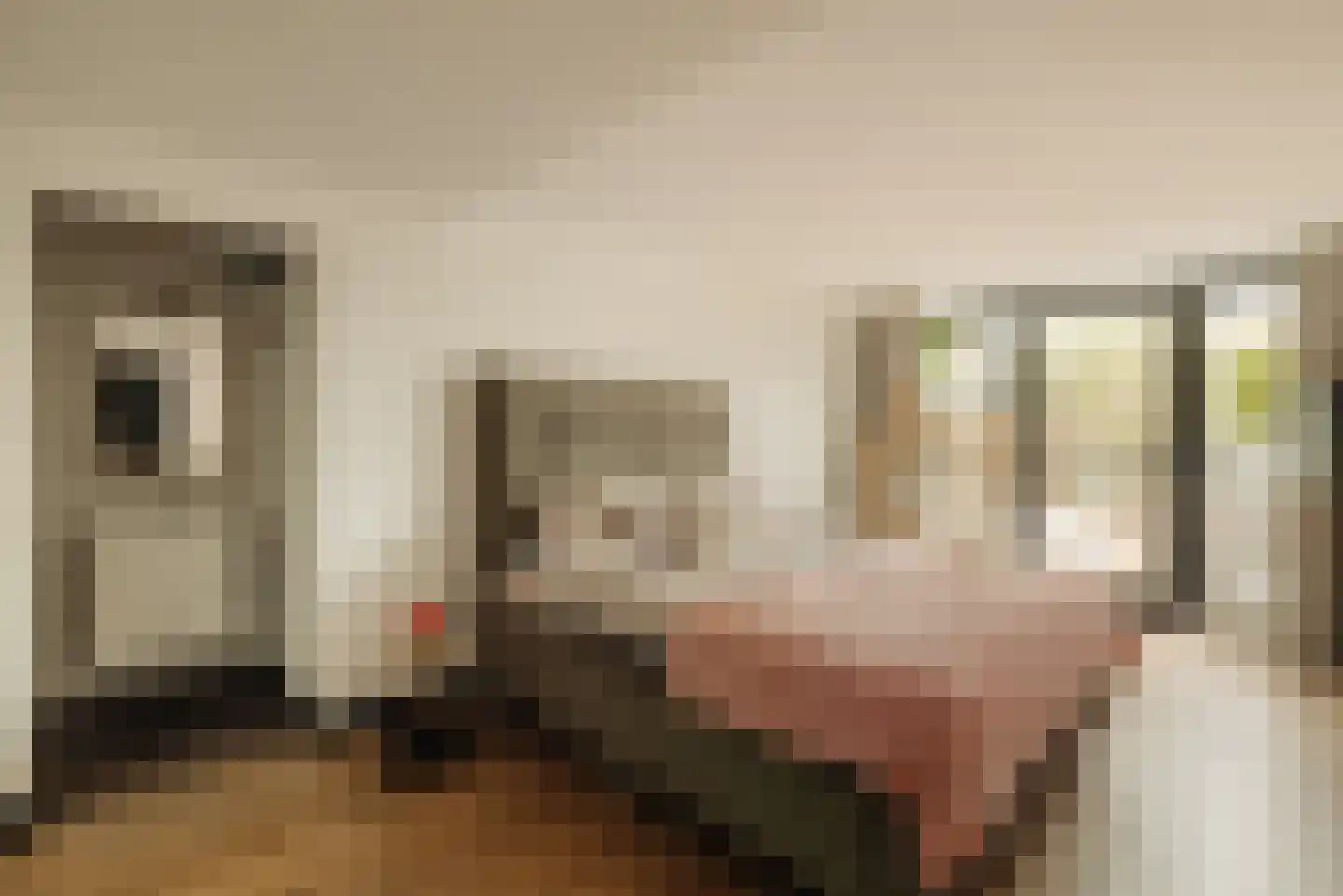 Westmeerlaan 15 Roelofarendsveen thumbnail 46