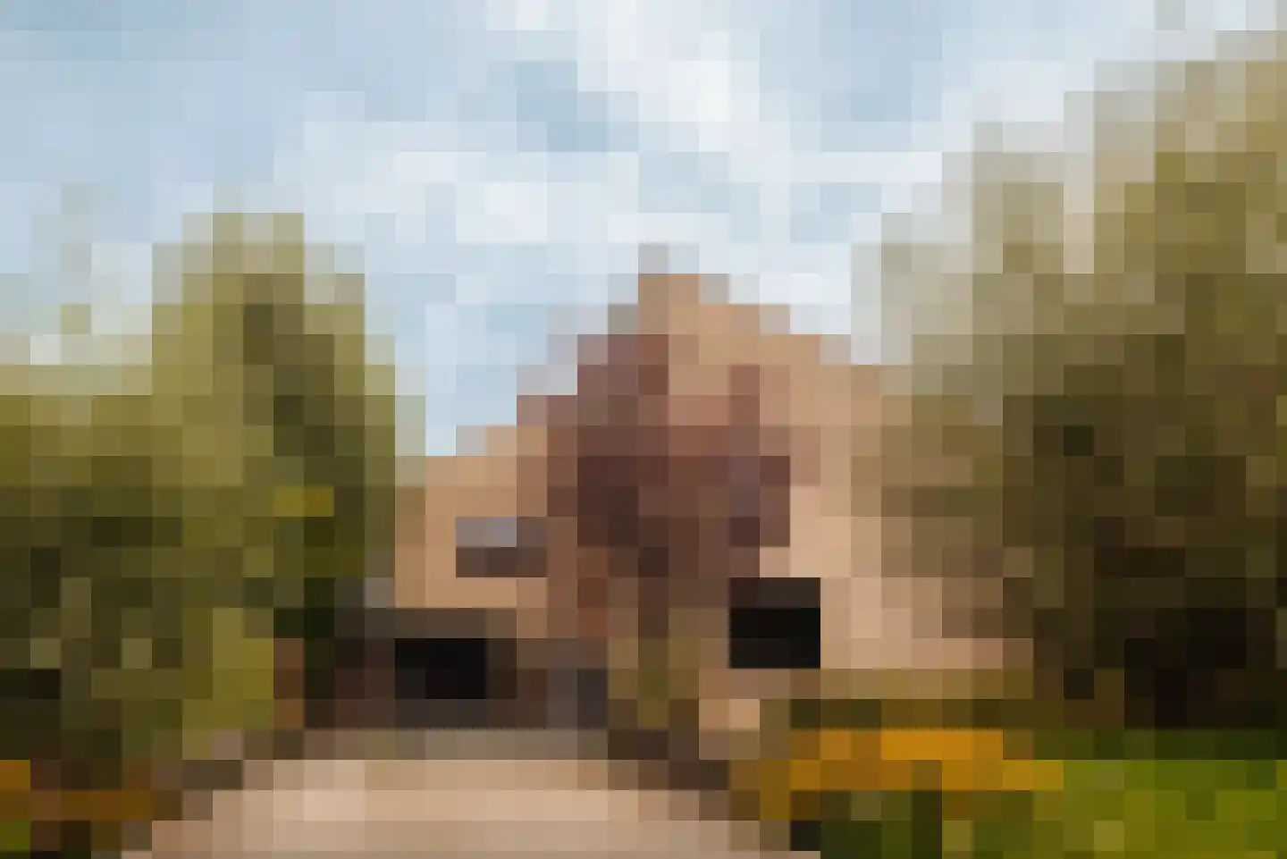 Westmeerlaan 15 Roelofarendsveen thumbnail 59