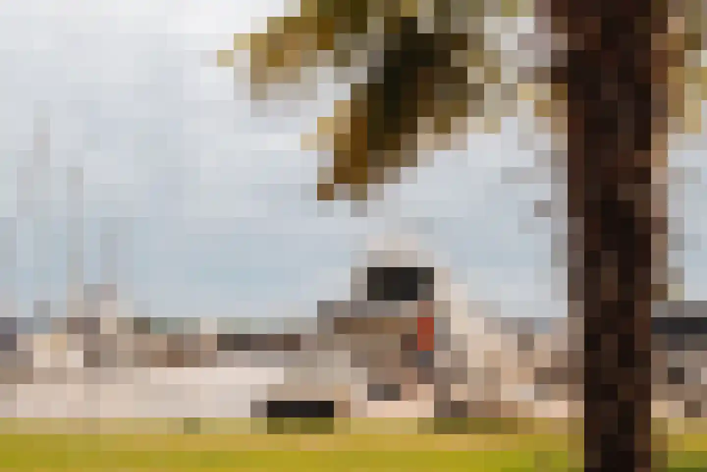 Westmeerlaan 15 Roelofarendsveen thumbnail 61