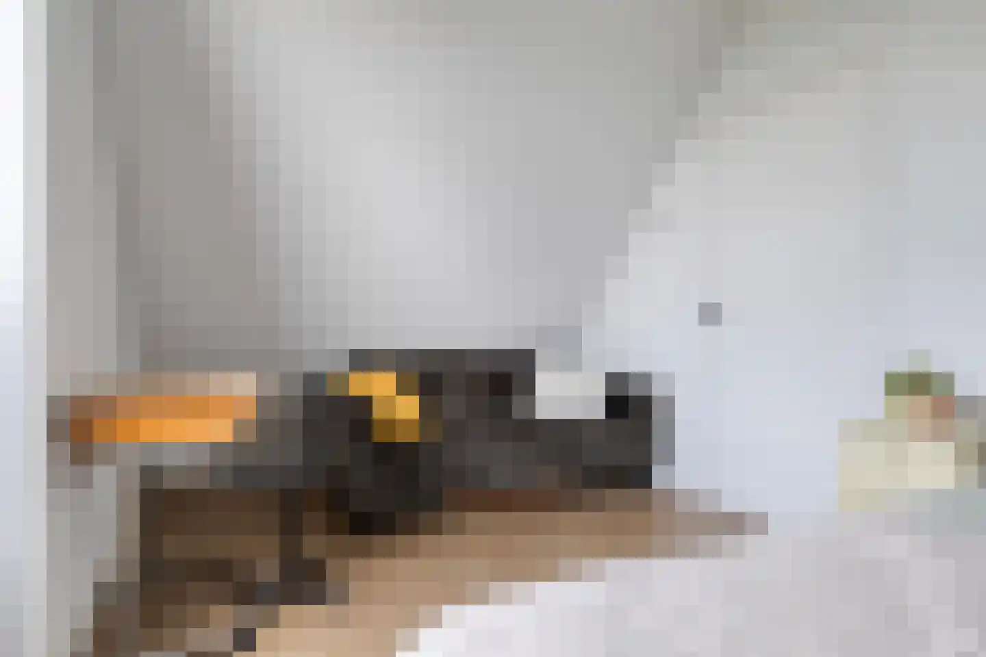 Westmeerlaan 25 Roelofarendsveen thumbnail 24