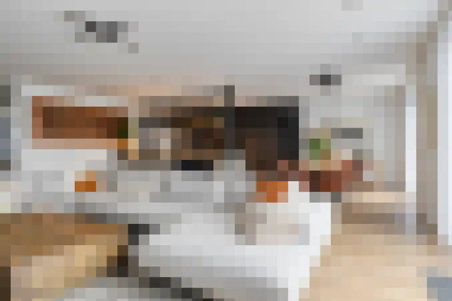 Westmeerlaan 25 Roelofarendsveen thumbnail 5