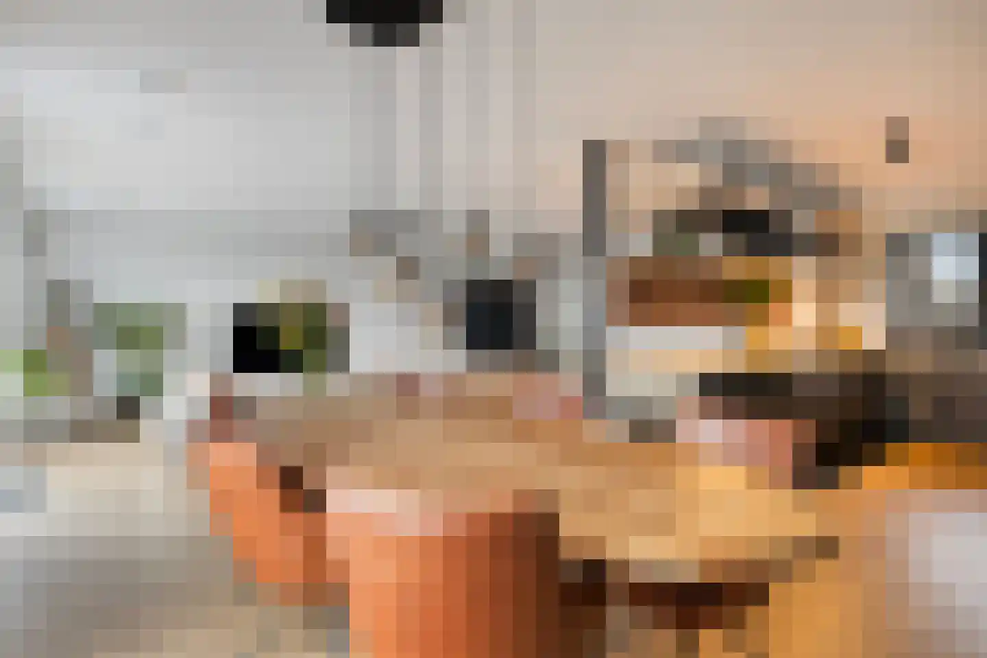 Westmeerlaan 25 Roelofarendsveen thumbnail 6