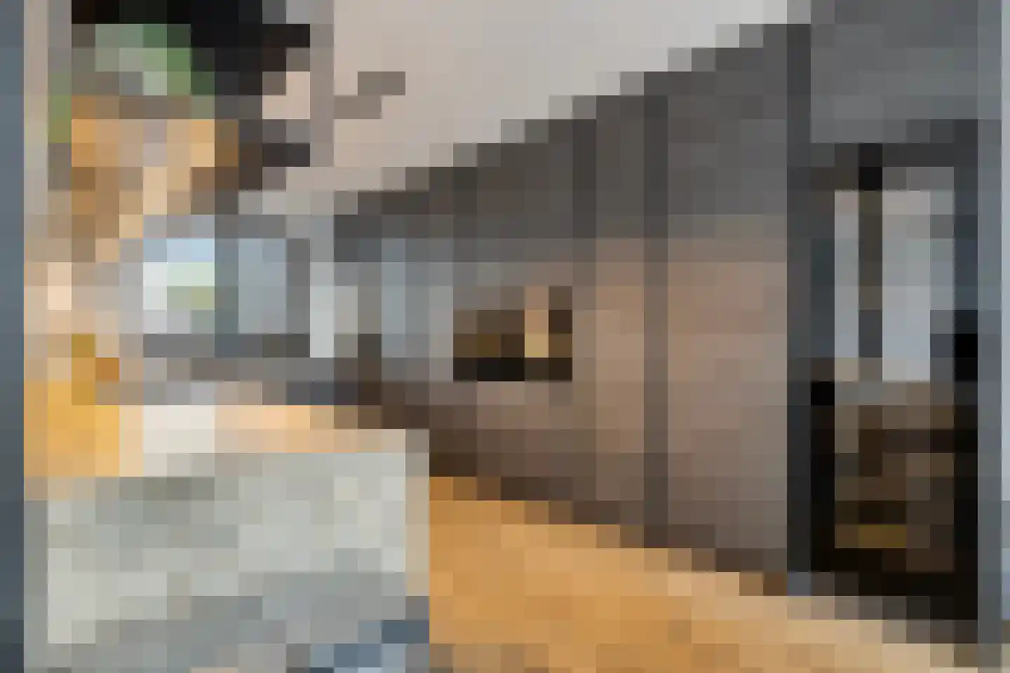 Westmeerlaan 25 Roelofarendsveen thumbnail 8