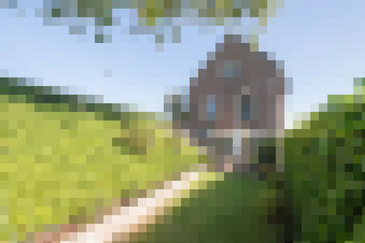 Westmolendijk 16 Ridderkerk thumbnail 18