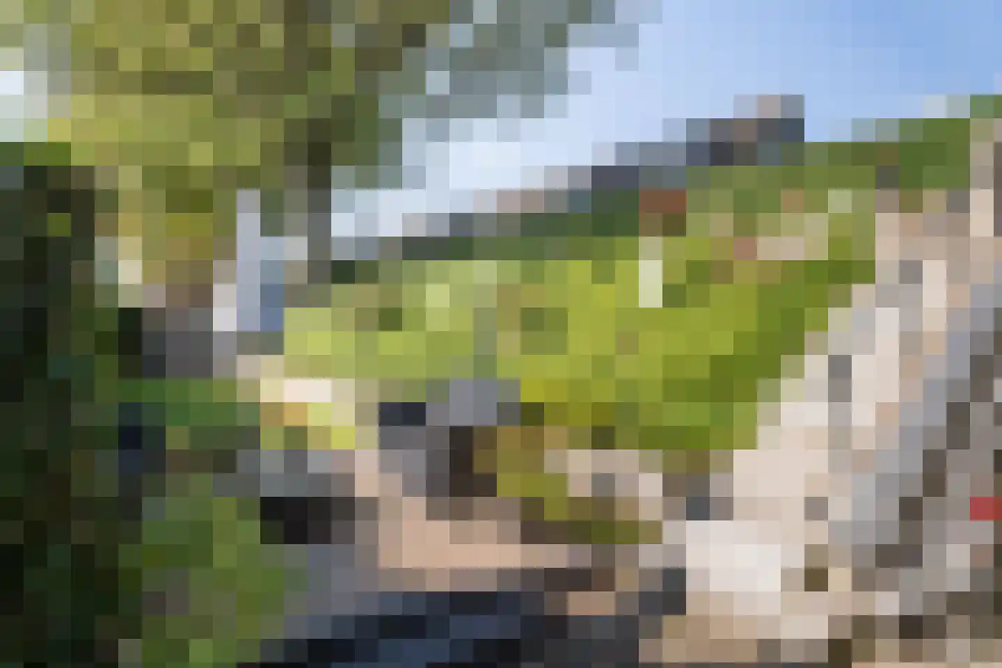 Westmolendijk 16 Ridderkerk thumbnail 4