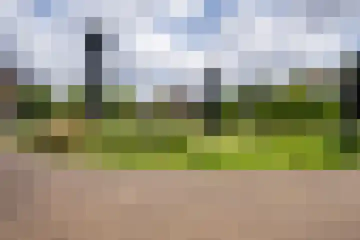 Westnieuwland 43 Vlaardingen thumbnail 39