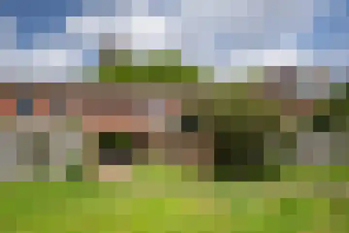 Westnieuwland 43 Vlaardingen thumbnail 41
