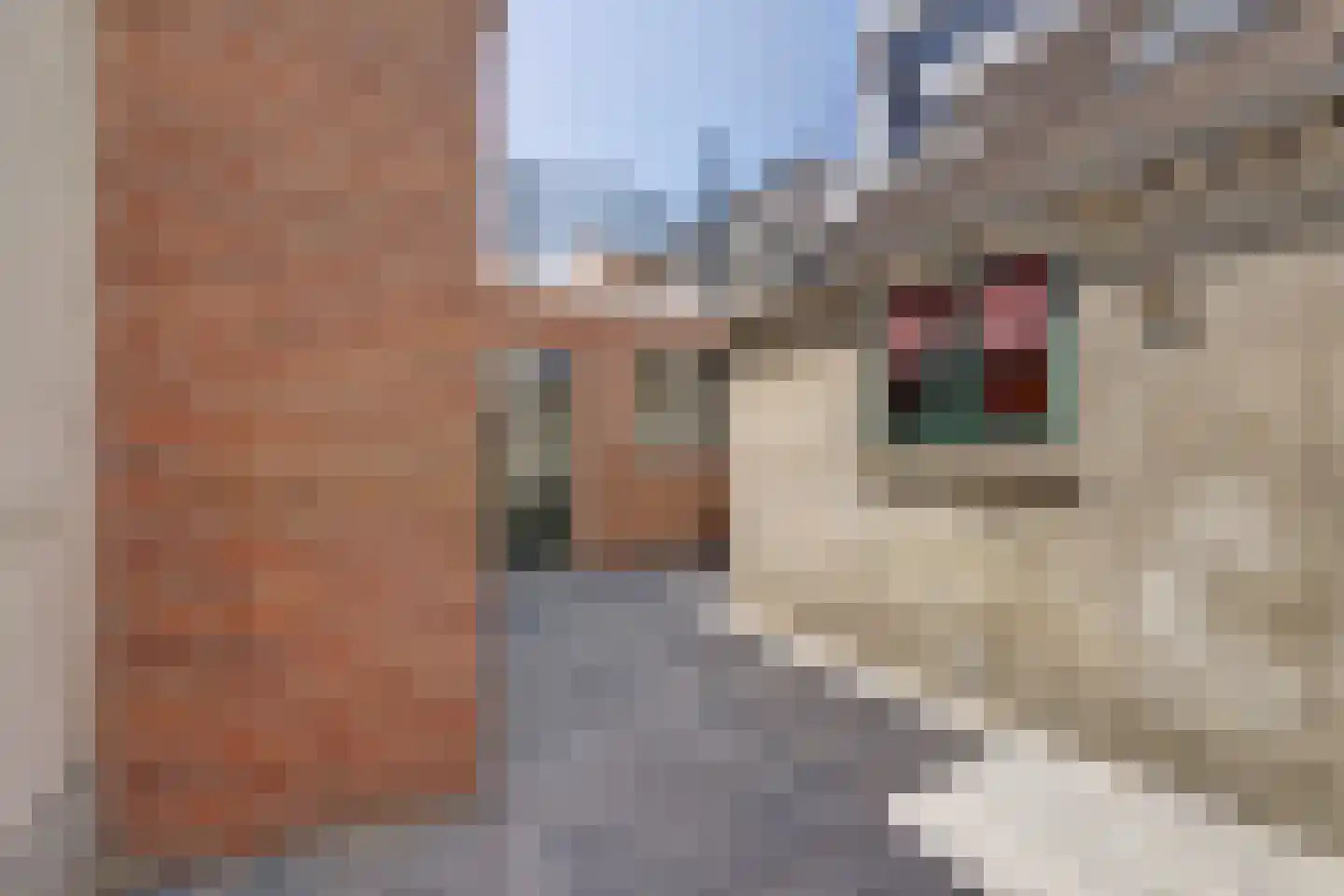 Westpad 10 Katwijk thumbnail 10