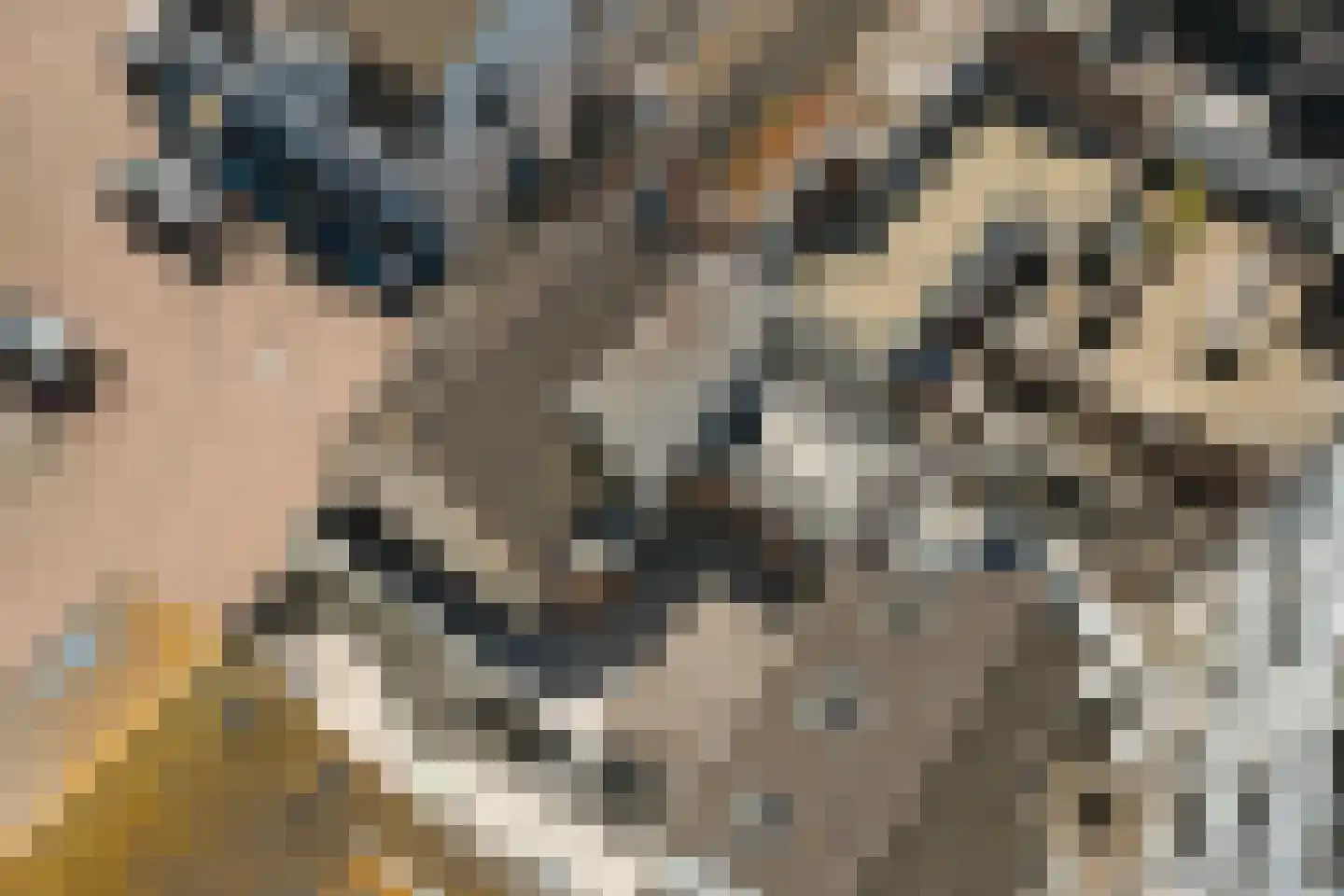 Westpad 10 Katwijk thumbnail 39