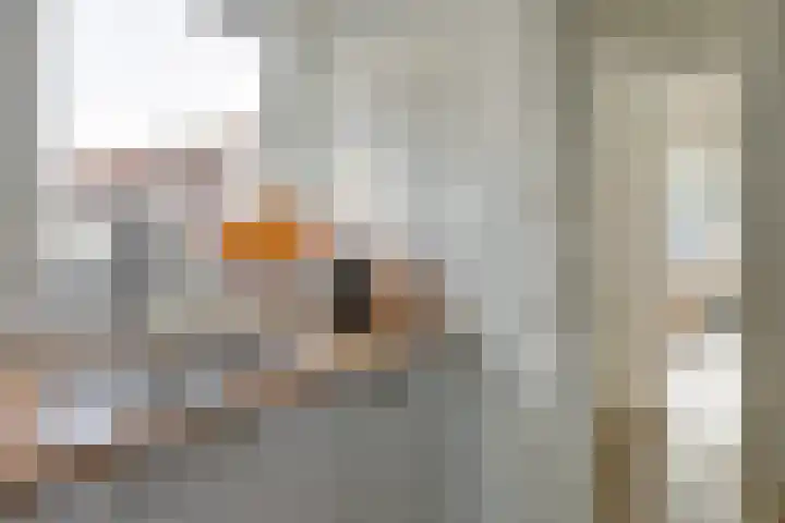 Westpad 11 Katwijk thumbnail 14