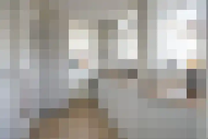 Westpad 11 Katwijk thumbnail 15