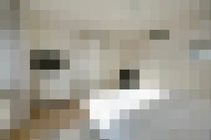 Westpad 11 Katwijk thumbnail 21