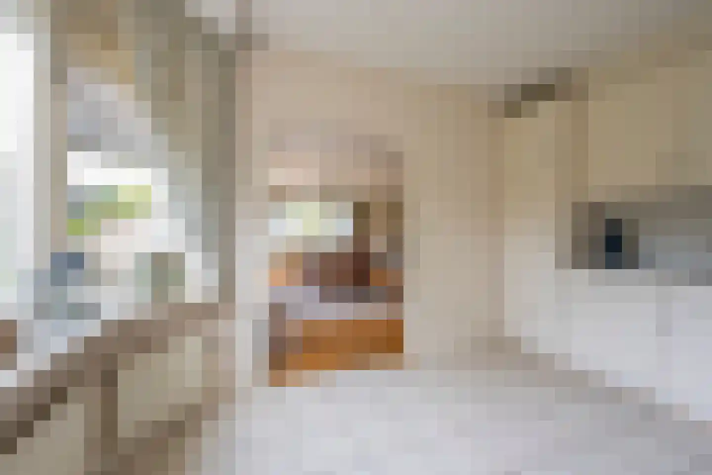 Westphalingsgoed 6 Nijkerk thumbnail 10