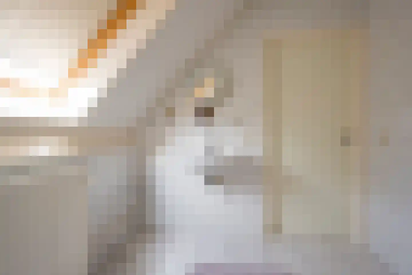 Westphalingsgoed 6 Nijkerk thumbnail 21