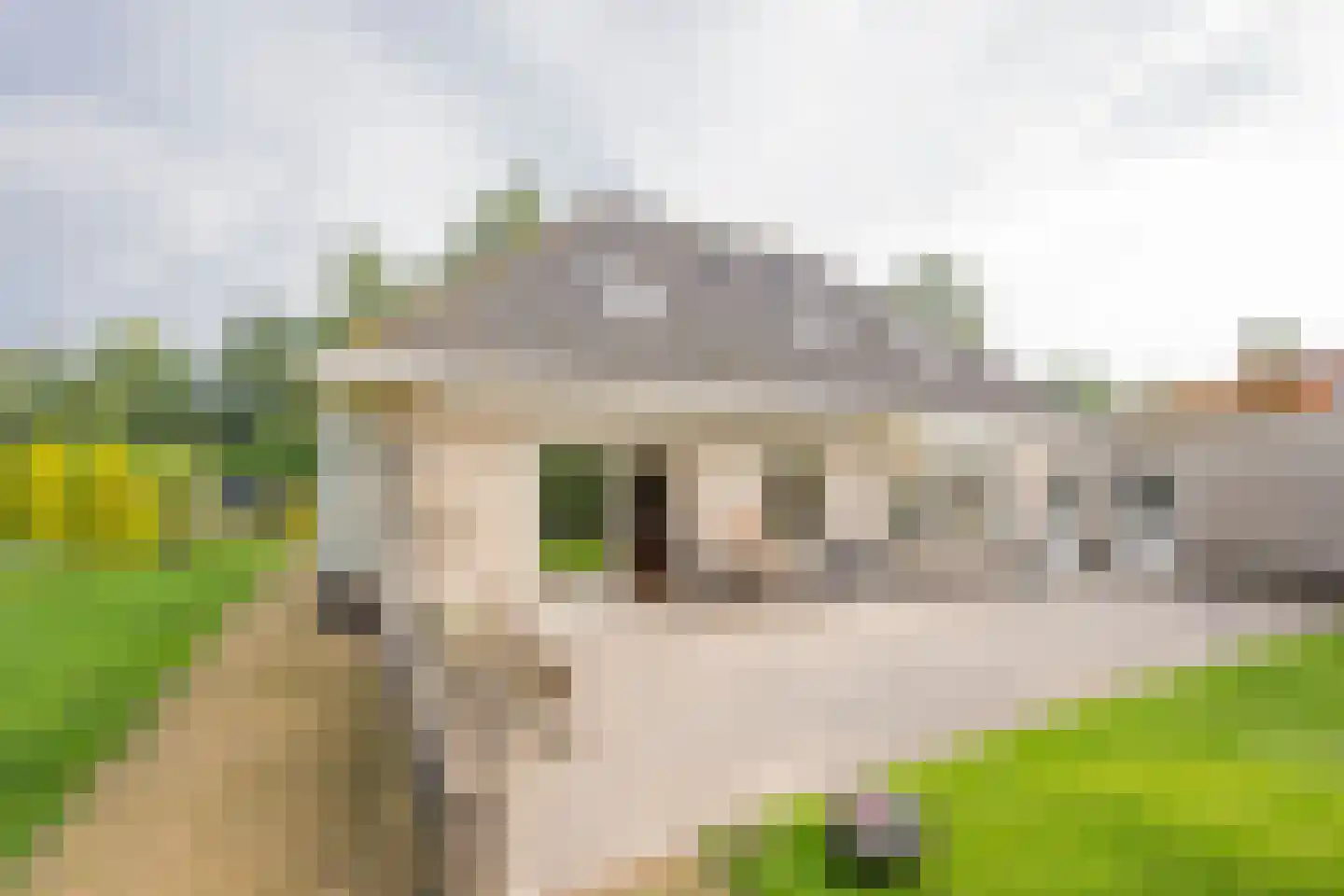 Westphalingsgoed 6 Nijkerk thumbnail 23