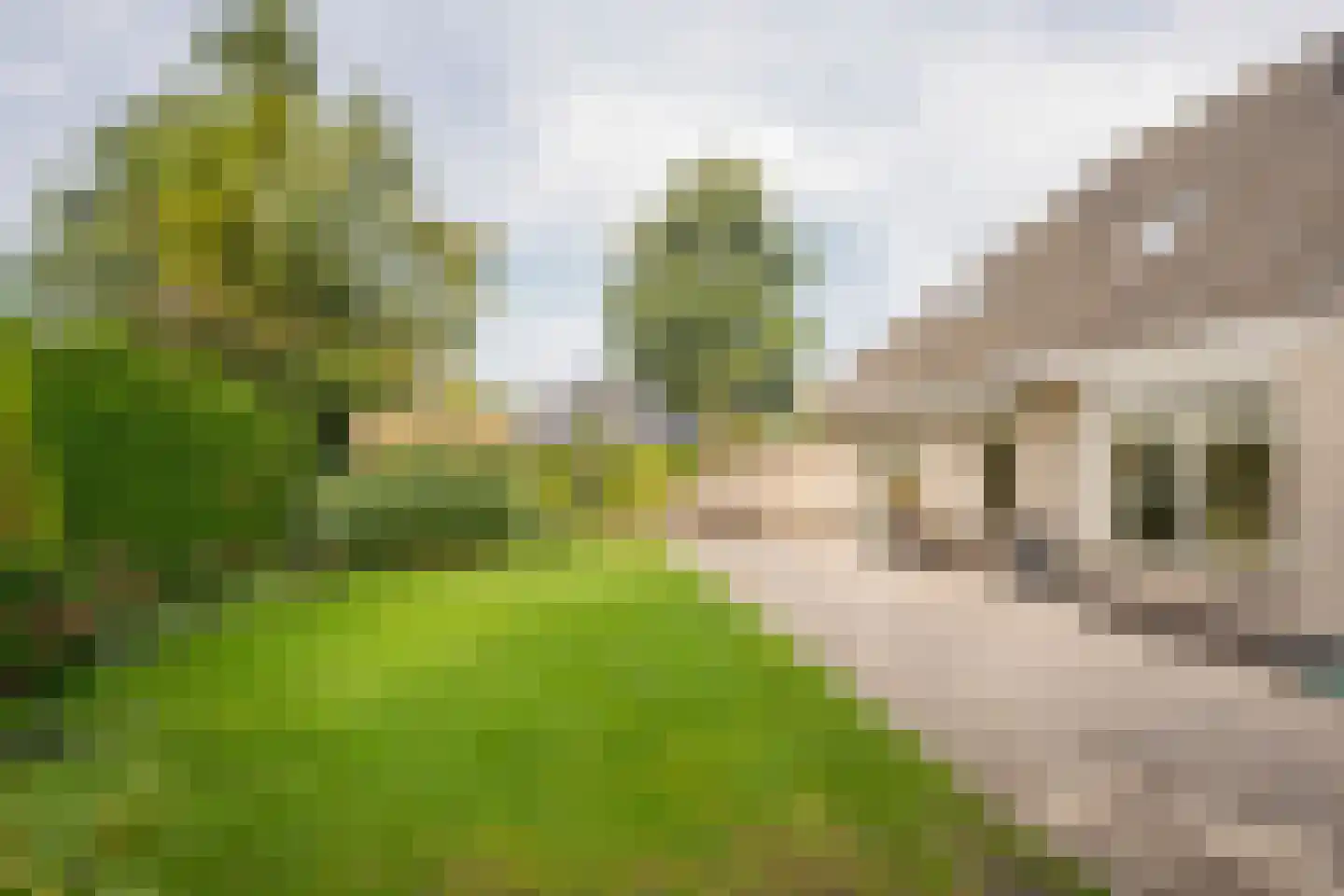 Westphalingsgoed 6 Nijkerk thumbnail 25