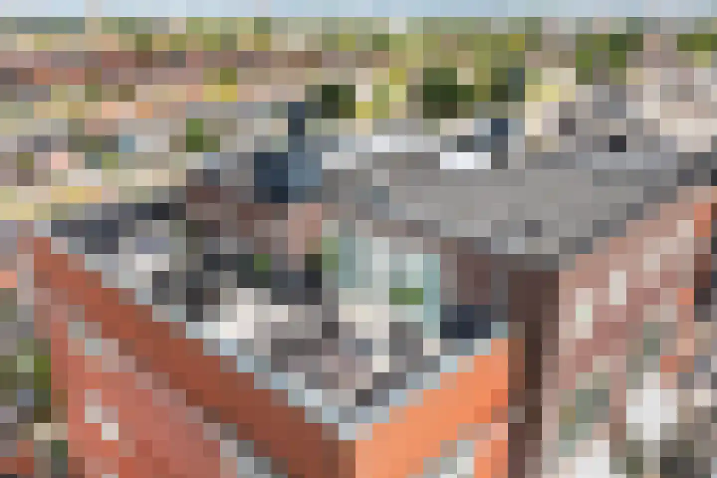 Westpier 63 Zwijndrecht thumbnail 69