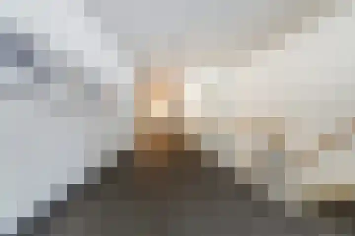 Westpier 72 Zwijndrecht thumbnail 8