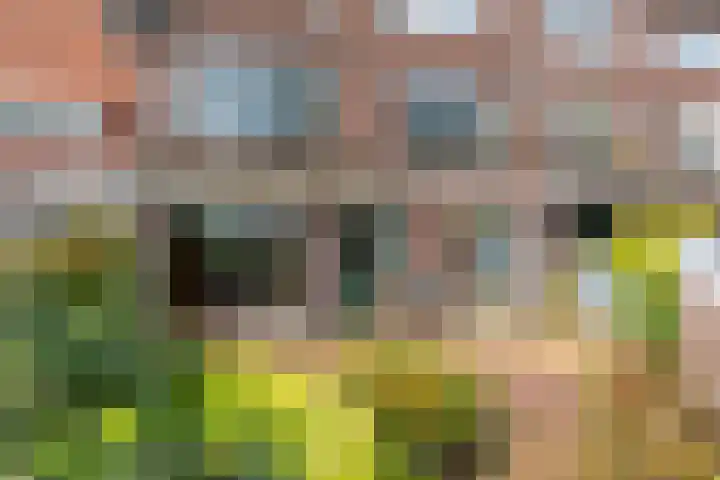 Westplantsoen 126 Delft thumbnail 11