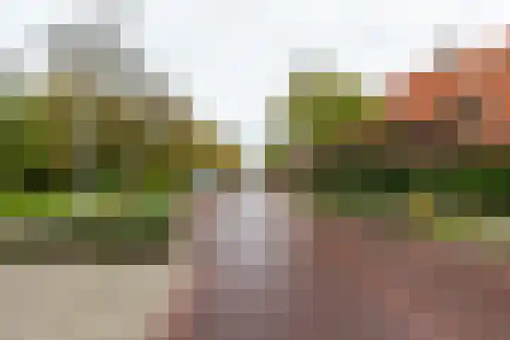 Westplantsoen 126 Delft thumbnail 30