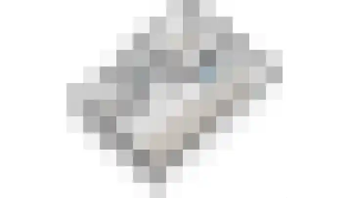 Westplantsoen 126 Delft thumbnail 33