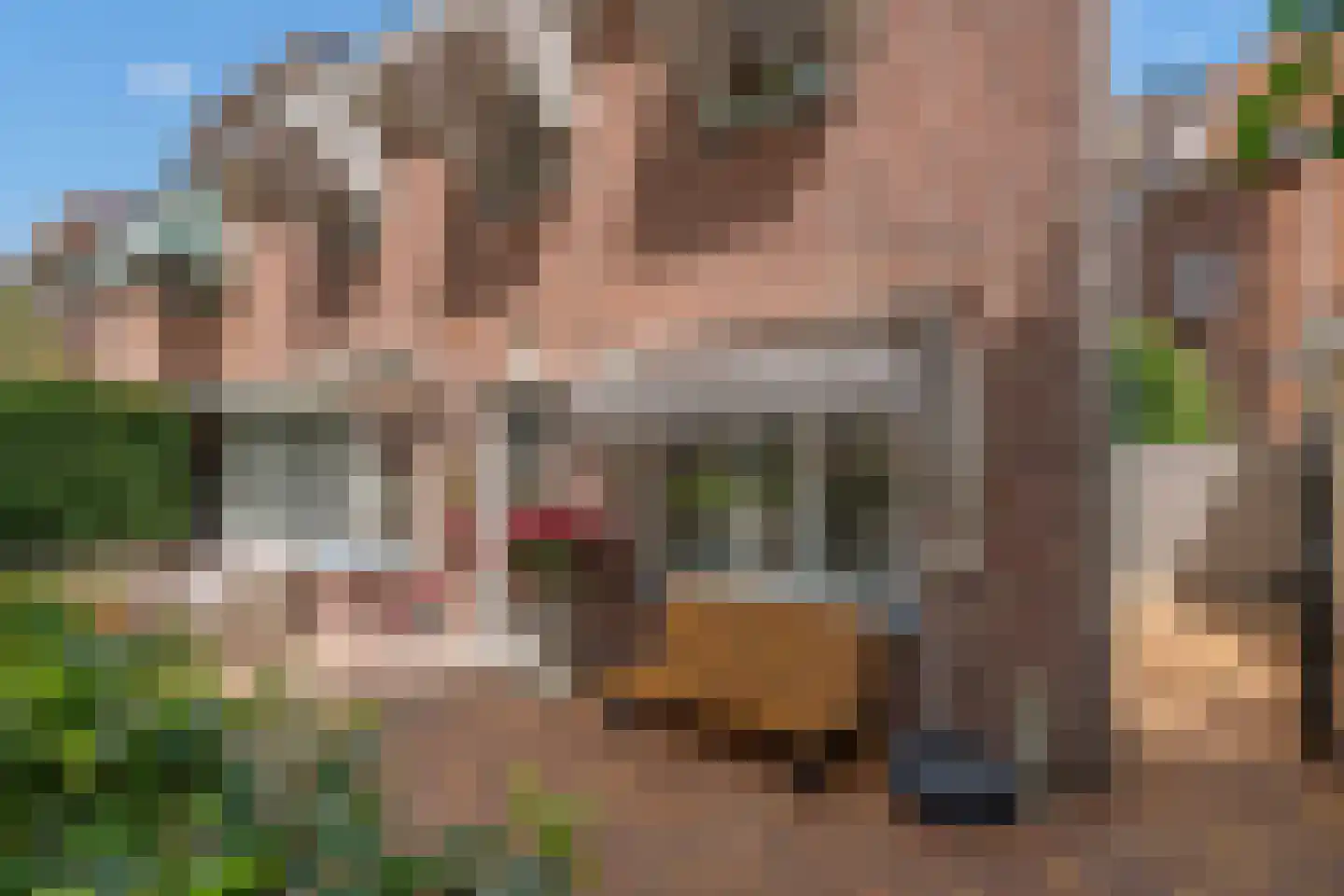 Westplantsoen 168 Delft thumbnail 6