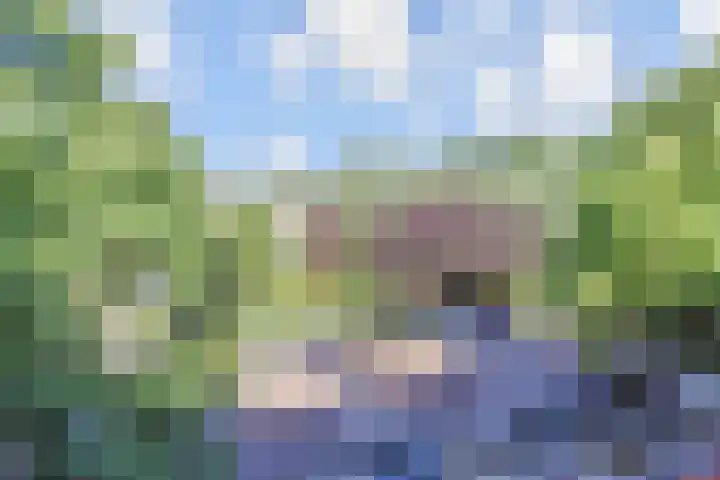 Westplantsoen 82 Delft thumbnail 13