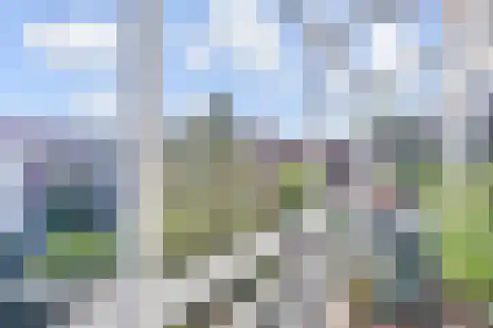 Westplantsoen 82 Delft thumbnail 32
