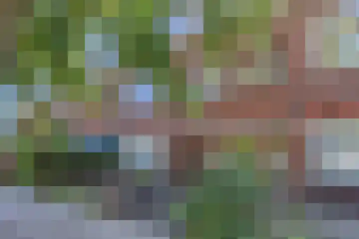 Westplantsoen 82 Delft thumbnail 45