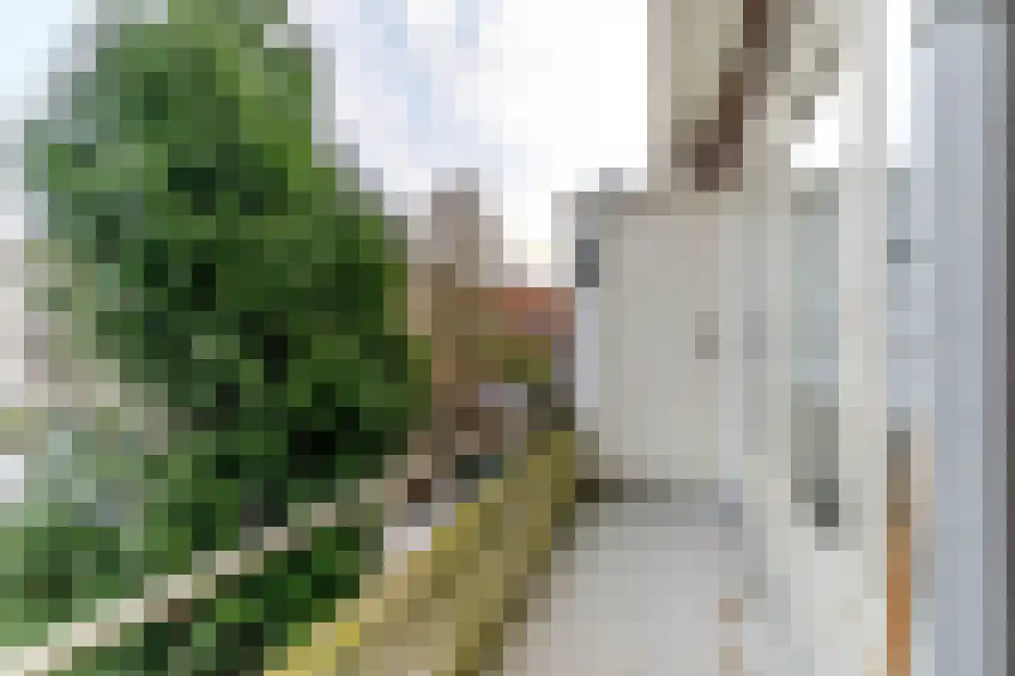 Westplantsoen 88 Delft thumbnail 26