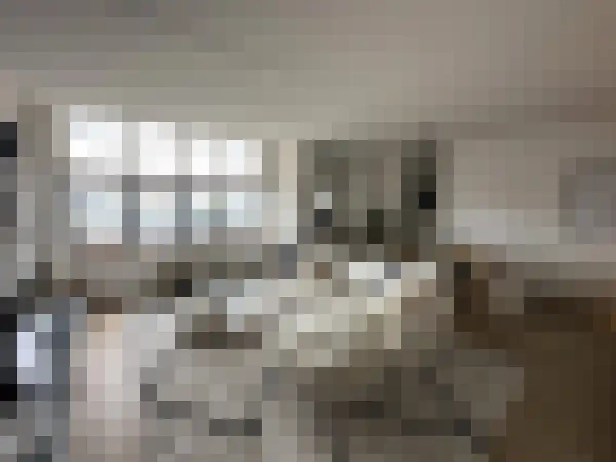 Westplein 101 Rotterdam thumbnail 5