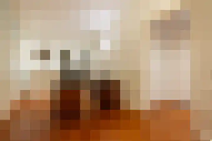 Westplein 78 Rotterdam thumbnail 36