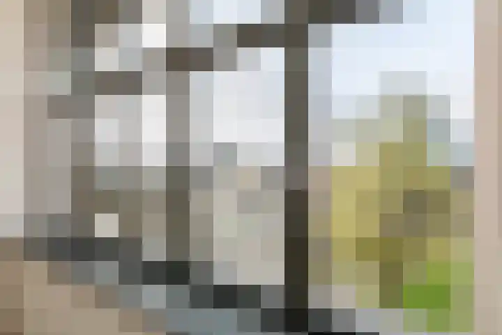 Westplein 91 Rotterdam thumbnail 6