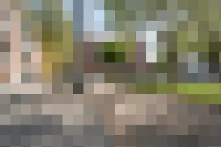 Westplein 91 Rotterdam thumbnail 62