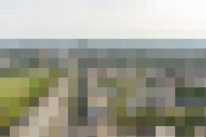 Westpoint 118 Tilburg thumbnail 14