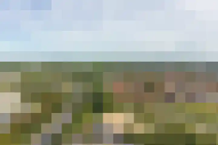 Westpoint 118 Tilburg thumbnail 24