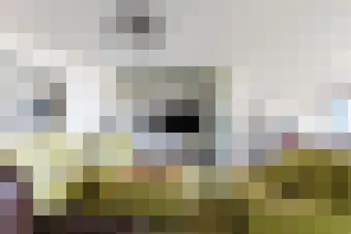 Westpoint 151 Tilburg thumbnail 21
