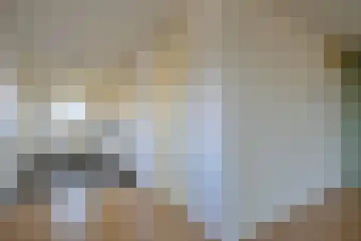 Westpoint 179 Tilburg thumbnail 10