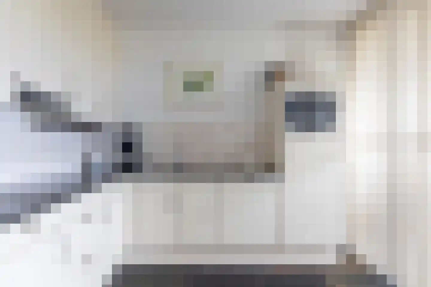 Westpoint 207 Tilburg thumbnail 7
