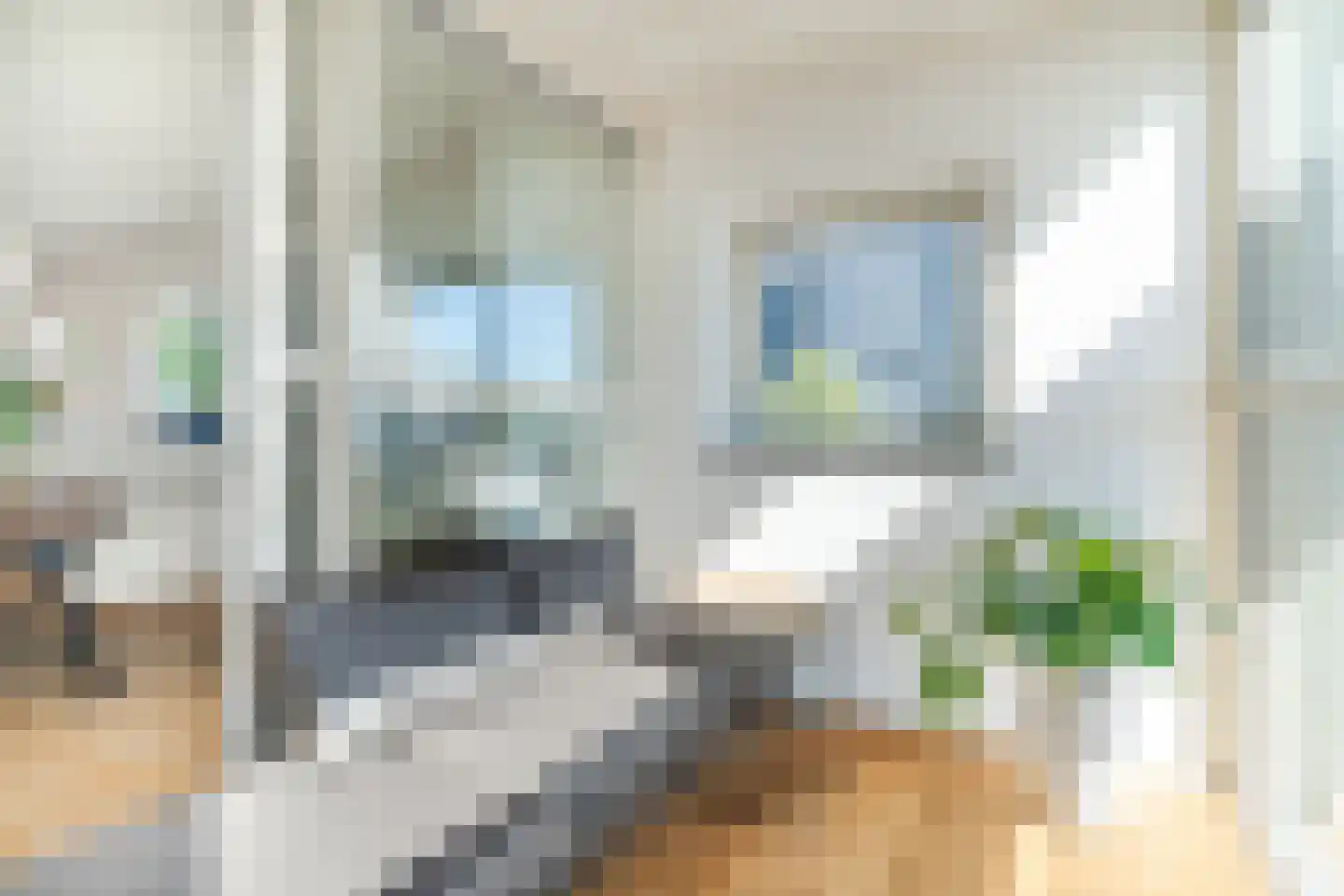Westpoint 21 Tilburg thumbnail 8