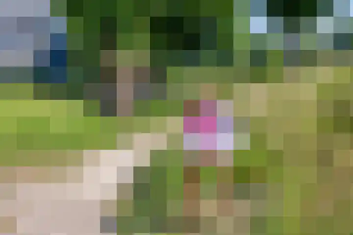 Westpoint 22 Tilburg thumbnail 26