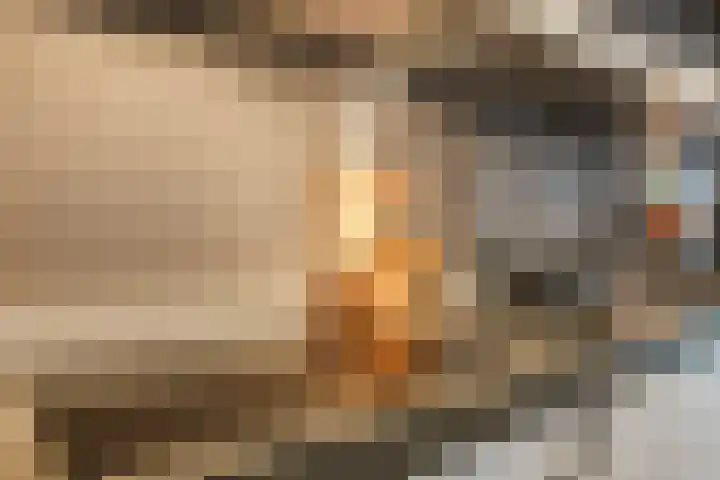 Westpoint 69 Tilburg thumbnail 12
