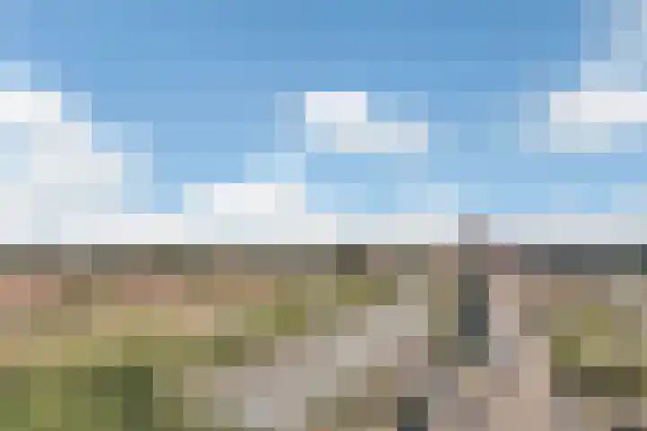 Westpoint 69 Tilburg thumbnail 14