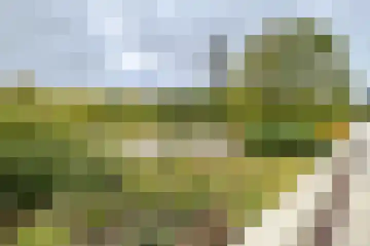 Westpoint 77 Tilburg thumbnail 21