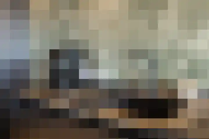 Westpoint 84 Tilburg thumbnail 27