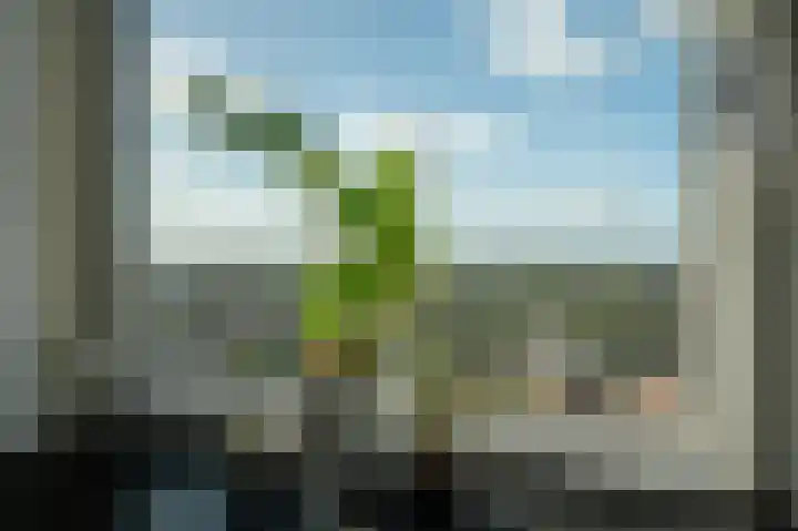 Westpoint 84 Tilburg thumbnail 34